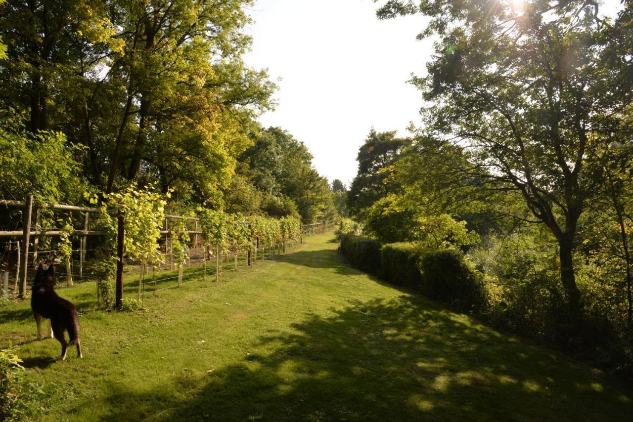 Thatchcombe B&B Wantage Εξωτερικό φωτογραφία